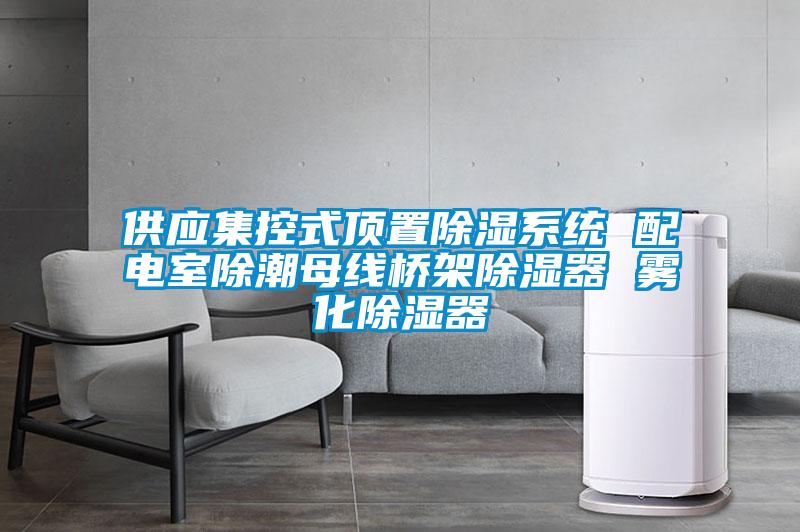 供應(yīng)集控式頂置除濕系統(tǒng) 配電室除潮母線(xiàn)橋架除濕器 霧化除濕器
