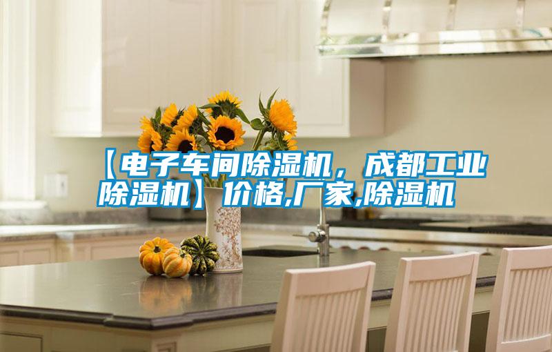 【電子車間除濕機，成都工業(yè)除濕機】價格,廠家,除濕機