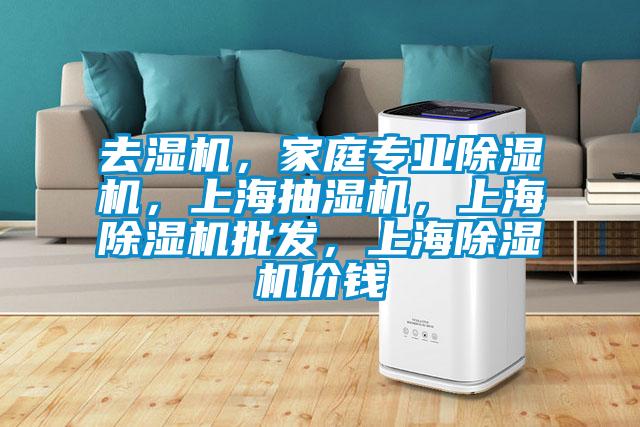 去濕機，家庭專業除濕機，上海抽濕機，上海除濕機批發，上海除濕機價錢