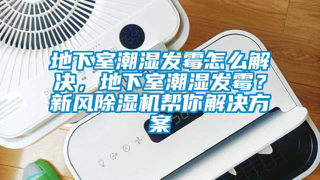 地下室潮濕發霉怎么解決，地下室潮濕發霉？新風除濕機幫你解決方案
