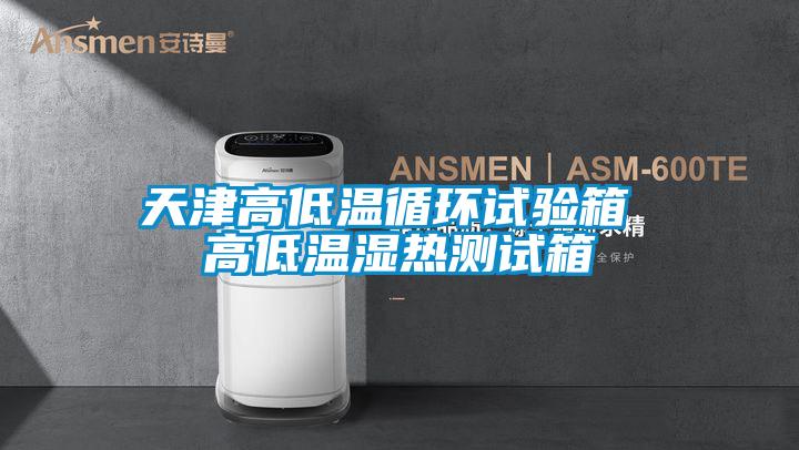 天津高低溫循環(huán)試驗(yàn)箱 高低溫濕熱測試箱