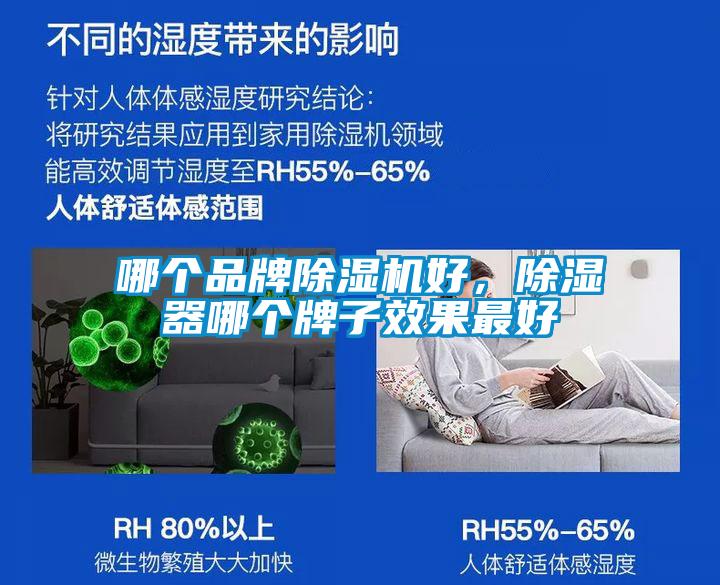 哪個(gè)品牌除濕機(jī)好，除濕器哪個(gè)牌子效果最好