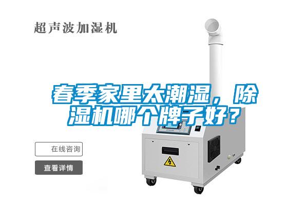 春季家里太潮濕，除濕機哪個牌子好？