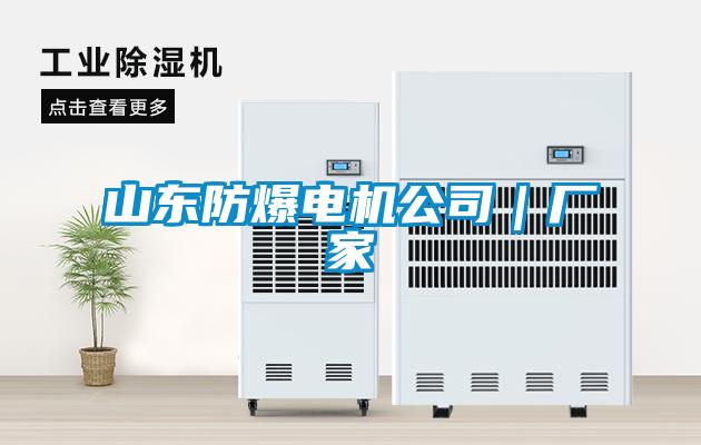 山東防爆電機公司|廠家
