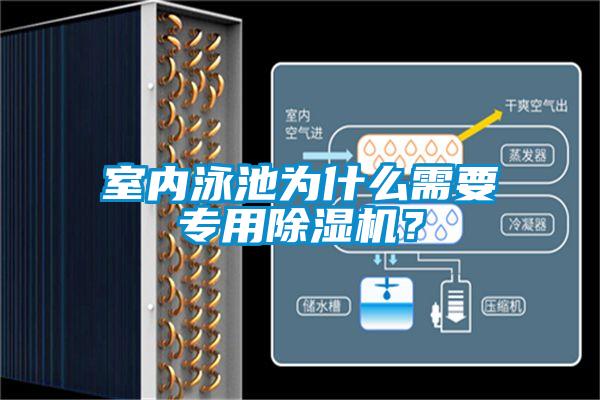室內泳池為什么需要專用除濕機？