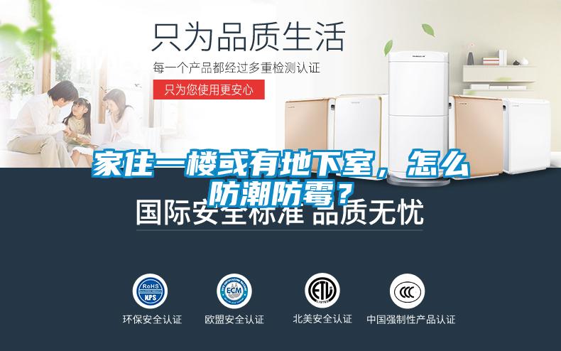家住一樓或有地下室,怎么防潮防霉?