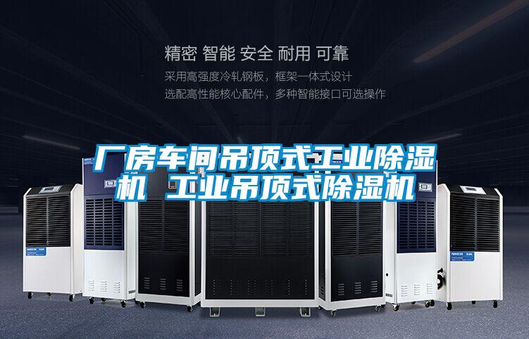 廠房車間吊頂式工業(yè)除濕機 工業(yè)吊頂式除濕機