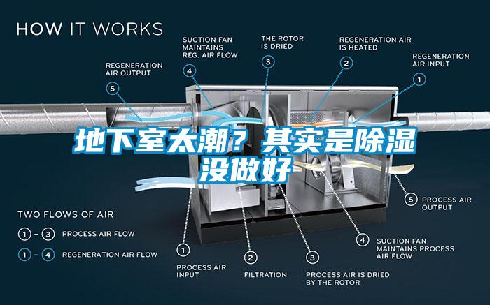 地下室太潮？其實是除濕沒做好