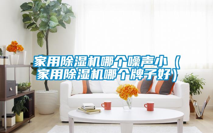 家用除濕機哪個噪聲?。矣贸凉駲C哪個牌子好）