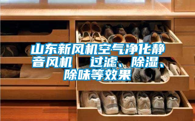 山東新風機空氣凈化靜音風機  過濾、除濕、除味等效果