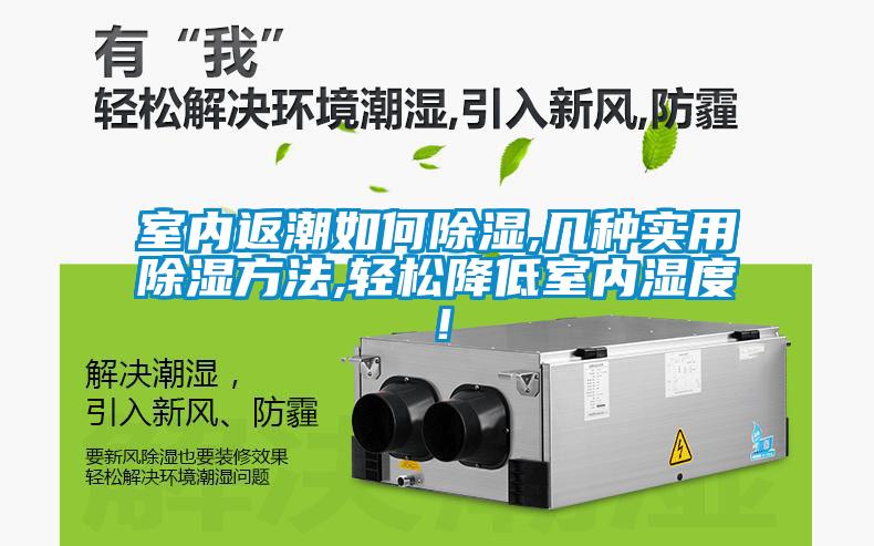 室內返潮如何除濕,幾種實用除濕方法,輕松降低室內濕度！