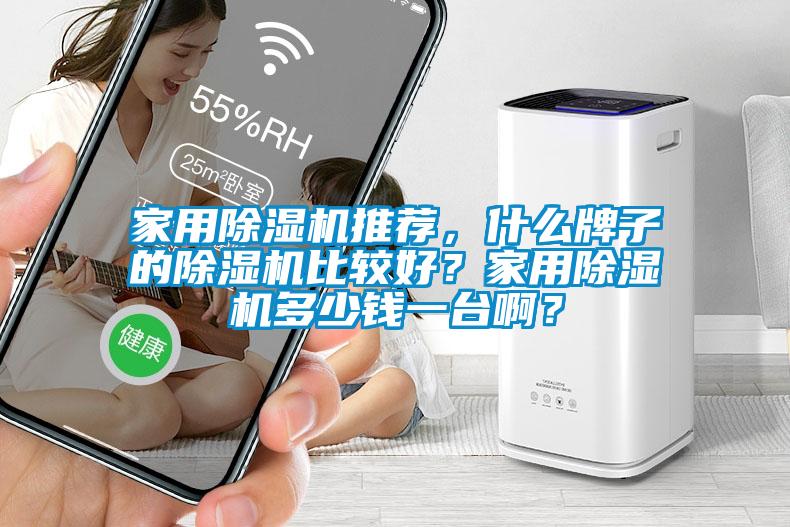 家用除濕機(jī)推薦，什么牌子的除濕機(jī)比較好？家用除濕機(jī)多少錢一臺啊？