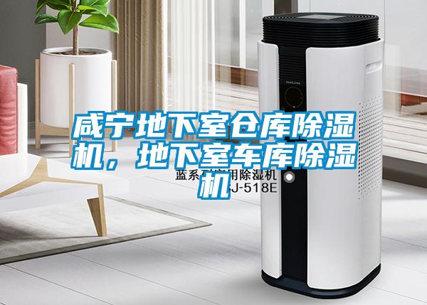 咸寧地下室倉庫除濕機，地下室車庫除濕機