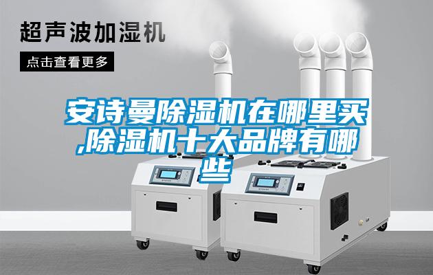 安詩曼除濕機(jī)在哪里買,除濕機(jī)十大品牌有哪些
