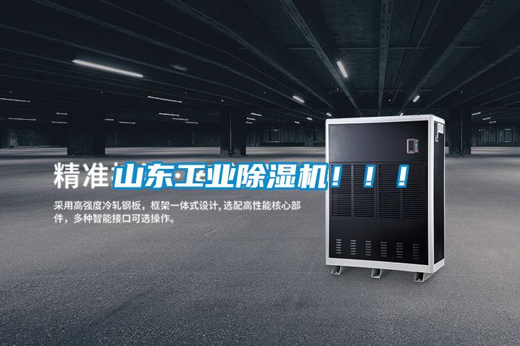 山東工業除濕機?。。?></div>
								<div   id=