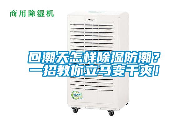 回潮天怎樣除濕防潮？一招教你立馬變干爽！