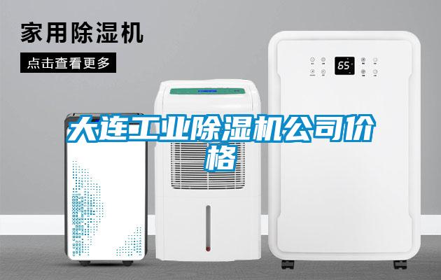 大連工業除濕機公司價格