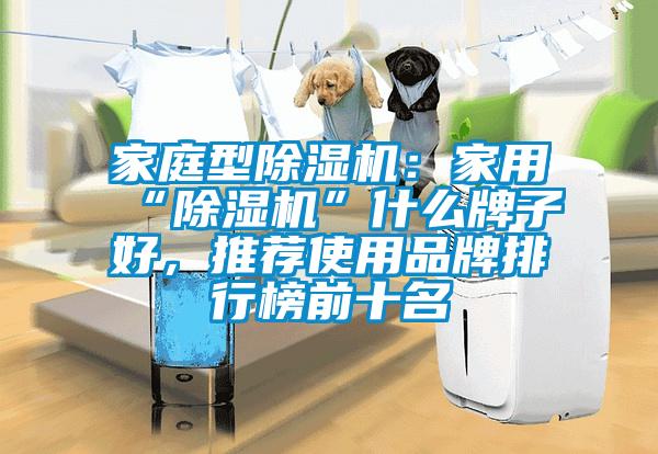 家庭型除濕機(jī)：家用“除濕機(jī)”什么牌子好，推薦使用品牌排行榜前十名