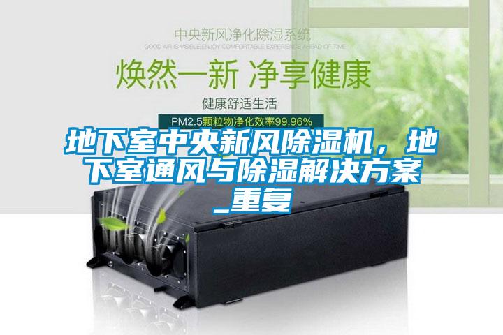 地下室中央新風除濕機,地下室通風與除濕解決方案_重復