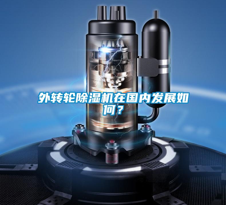 外轉輪除濕機在國內發展如何？