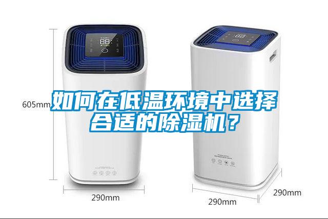 如何在低溫環境中選擇合適的除濕機?