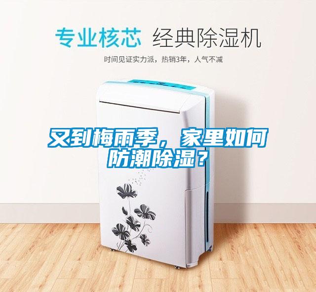 又到梅雨季，家里如何防潮除濕？