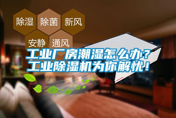 工業(yè)廠房潮濕怎么辦？工業(yè)除濕機(jī)為你解憂！