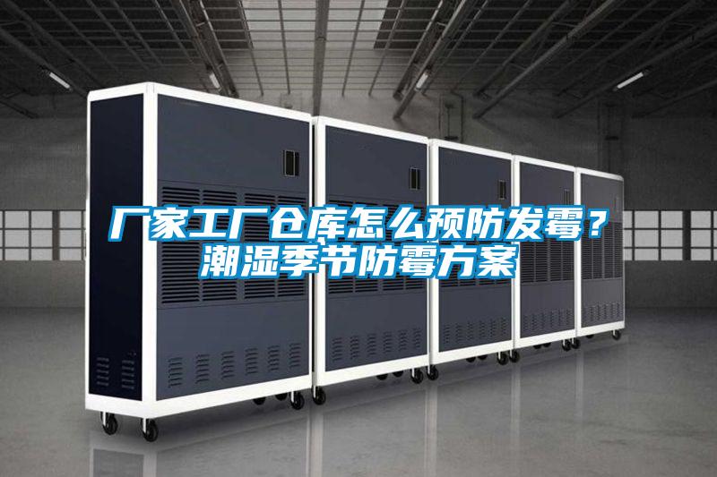 廠家工廠倉庫怎么預防發霉?潮濕季節防霉方案