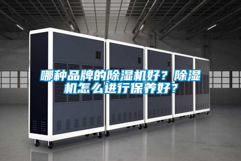 哪種品牌的除濕機好？除濕機怎么進行保養好？