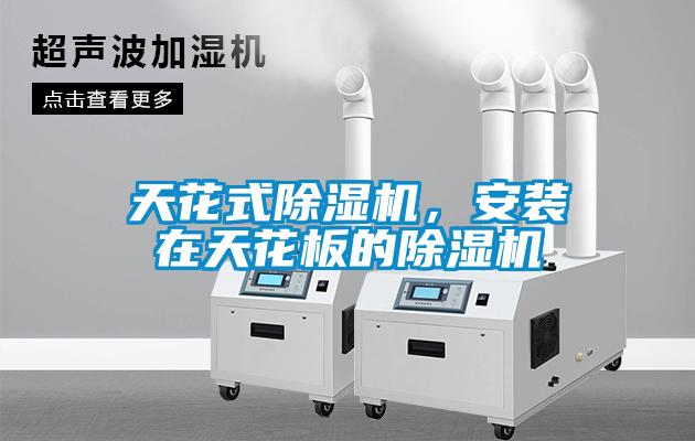 天花式除濕機(jī),安裝在天花板的除濕機(jī)