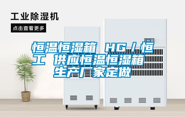 恒溫恒濕箱 HG／恒工 供應恒溫恒濕箱 生產(chǎn)廠家定做