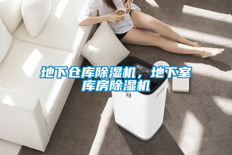 地下倉庫除濕機(jī)，地下室?guī)旆砍凉駲C(jī)
