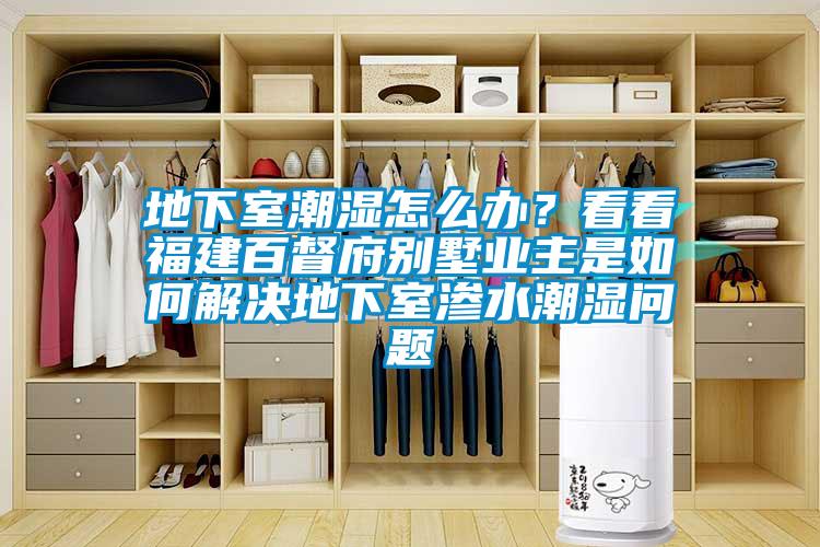 地下室潮濕怎么辦？看看福建百督府別墅業主是如何解決地下室滲水潮濕問題