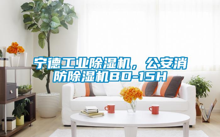 寧德工業除濕機，公安消防除濕機BD-15H