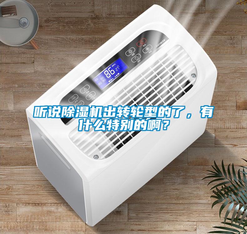 聽說除濕機出轉(zhuǎn)輪型的了，有什么特別的啊？