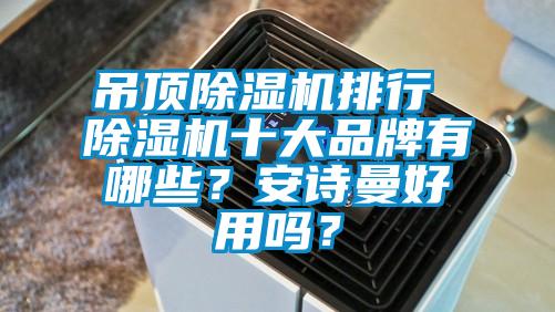 吊頂除濕機(jī)排行 除濕機(jī)十大品牌有哪些？安詩曼好用嗎？