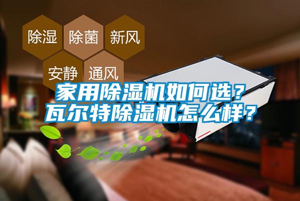 家用除濕機如何選？瓦爾特除濕機怎么樣？