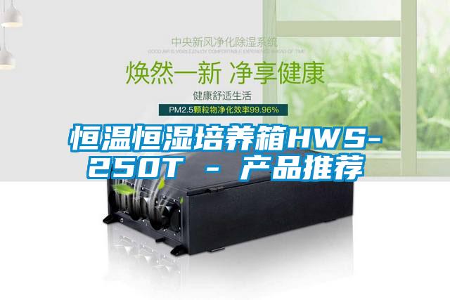恒溫恒濕培養(yǎng)箱HWS-250T - 產品推薦