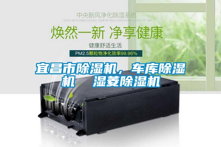 宜昌市除濕機(jī)，車庫(kù)除濕機(jī)  濕菱除濕機(jī)