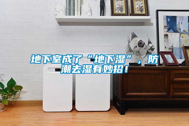 地下室成了“地下濕”，防潮去濕有妙招！