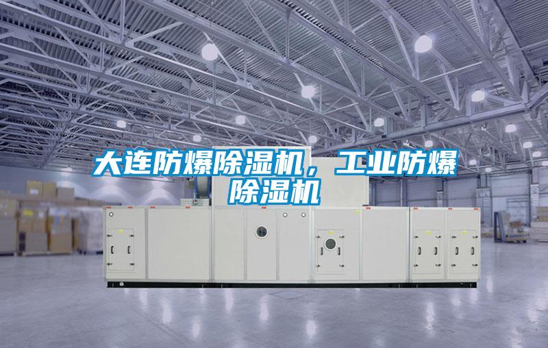 大連防爆除濕機(jī)，工業(yè)防爆除濕機(jī)