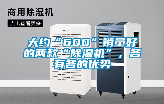 大約“600”銷量好的兩款“除濕機”，各有各的優(yōu)勢