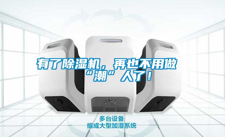 有了除濕機，再也不用做“潮”人了！