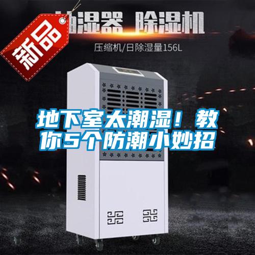 地下室太潮濕！教你5個(gè)防潮小妙招