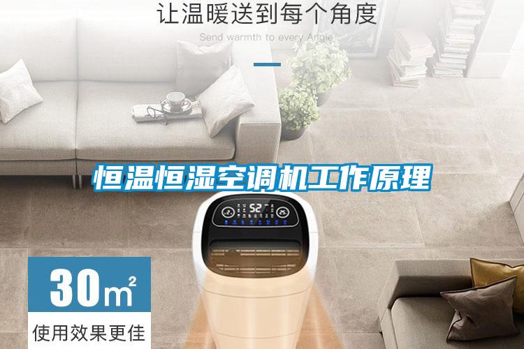 恒溫恒濕空調(diào)機工作原理