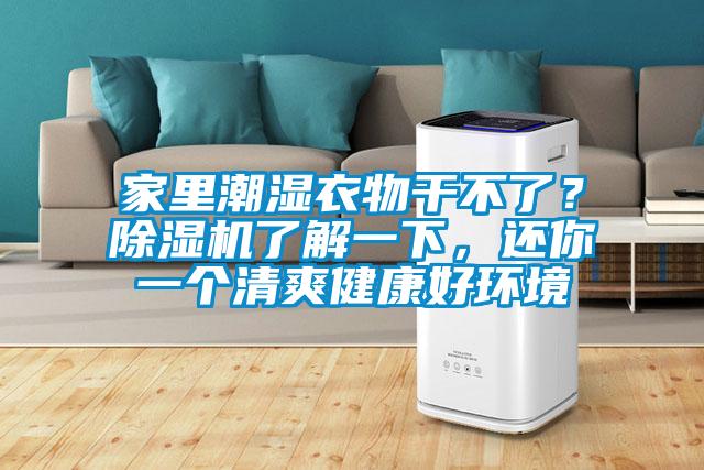 家里潮濕衣物干不了？除濕機了解一下，還你一個清爽健康好環境