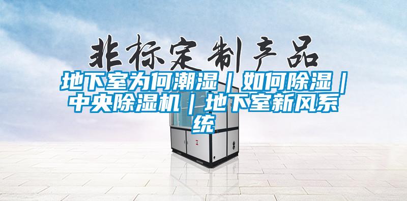 地下室為何潮濕|如何除濕|中央除濕機|地下室新風系統