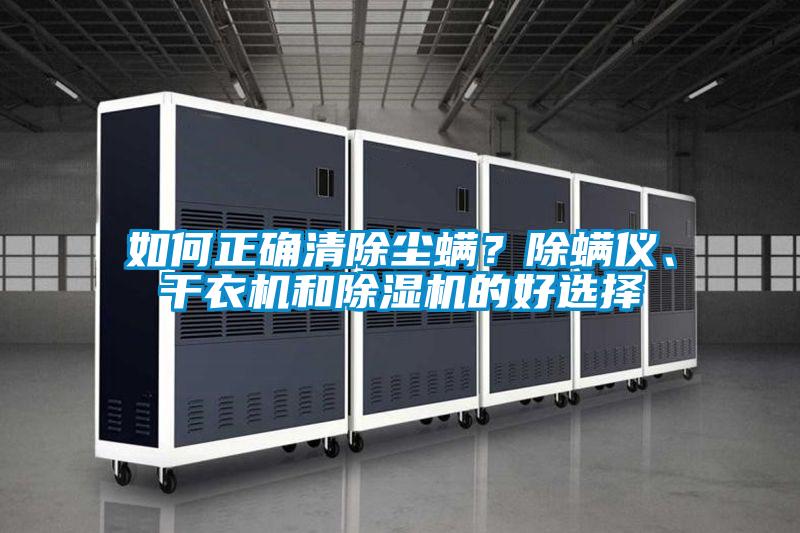 如何正確清除塵螨？除螨儀、干衣機(jī)和除濕機(jī)的好選擇