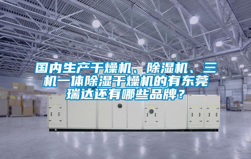 國內生產干燥機、除濕機、三機一體除濕干燥機的有東莞瑞達還有哪些品牌？