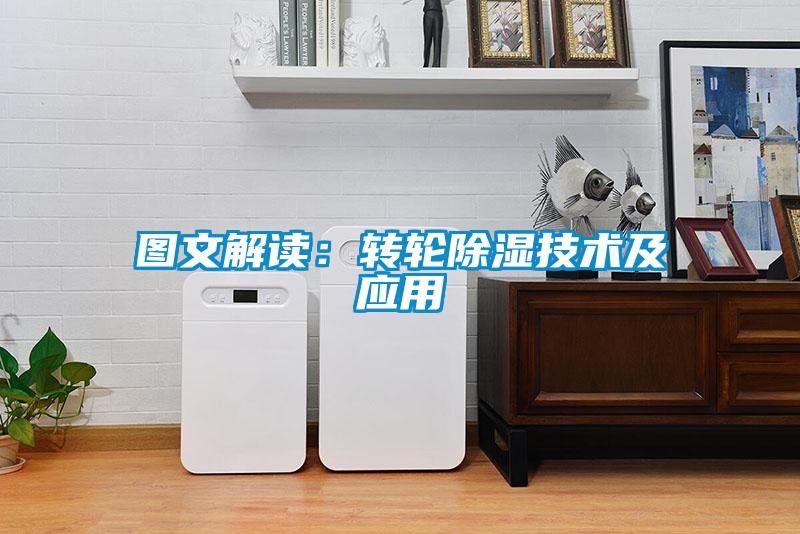 圖文解讀:轉輪除濕技術及應用